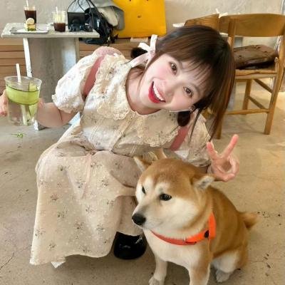 明星志愿2